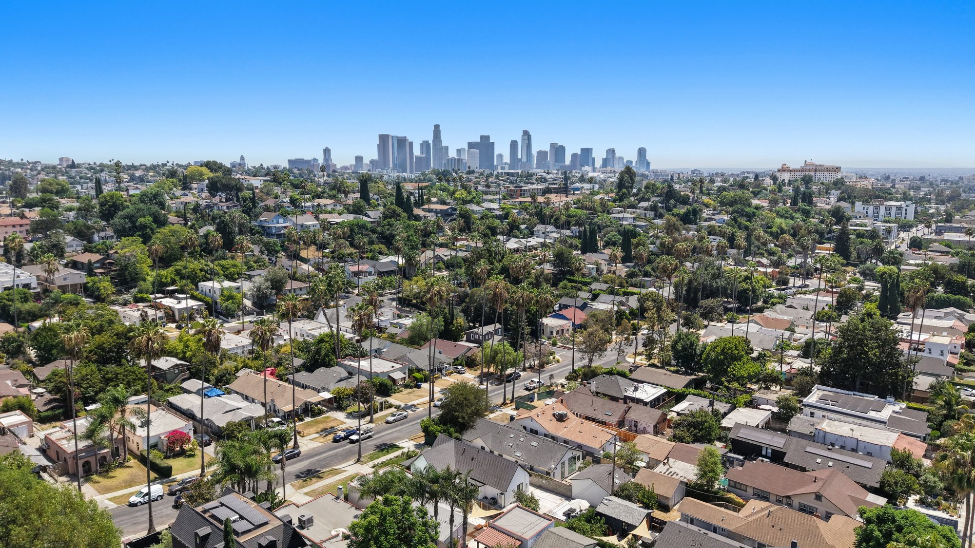 Aerial view of a tree-lined neighborhood with the downtown Los Angeles skyline